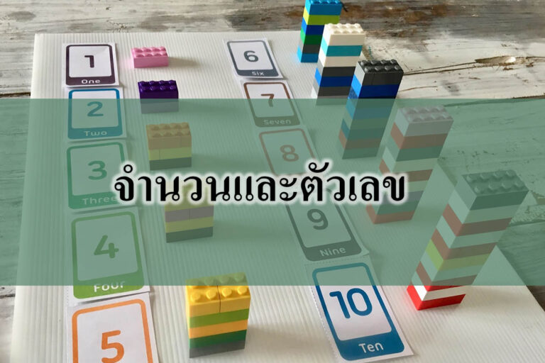 จำนวนและตัวเลข จำนวนและตัวเลข