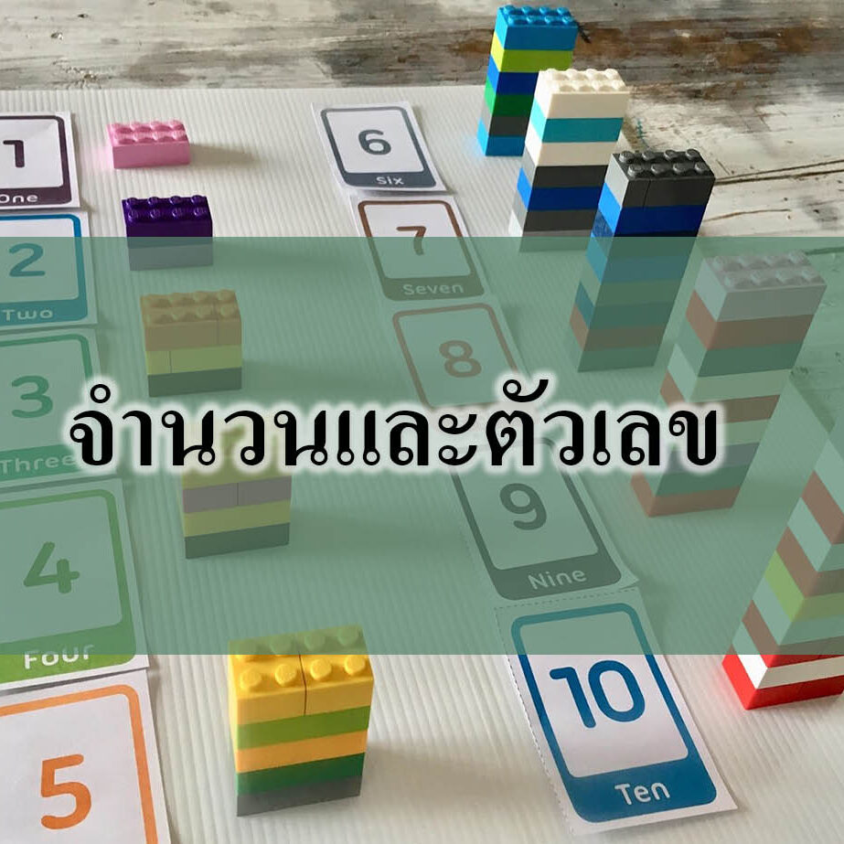 จำนวนและตัวเลข จำนวนและตัวเลข