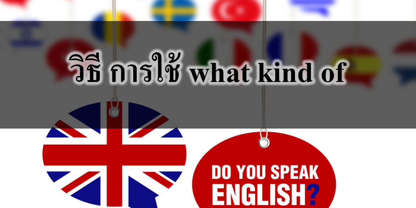 วิธี การใช้ what kind of ใน ภาษาอังกฤษ