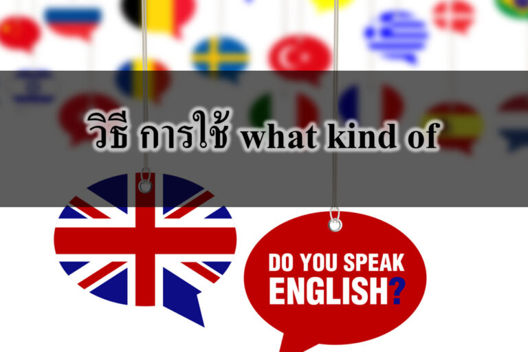 วิธี การใช้ what kind of ใน ภาษาอังกฤษ