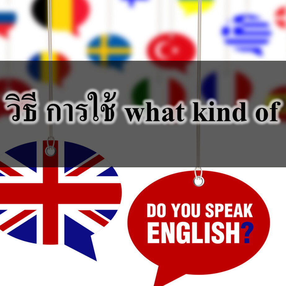 วิธี การใช้ what kind of ใน ภาษาอังกฤษ