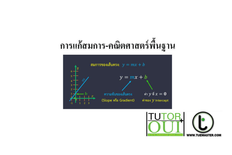 การแก้สมการ