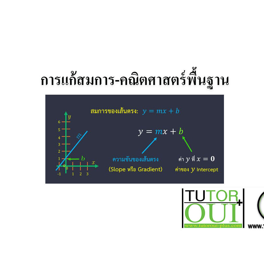 การแก้สมการ