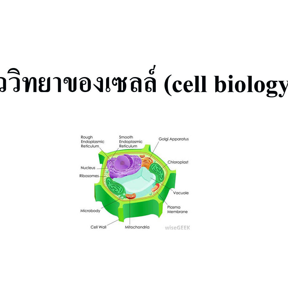ชีววิทยาของเซลล์ (cell biology)