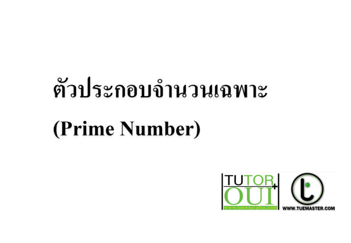 ตัวประกอบจำนวนเฉพาะ (Prime Number)