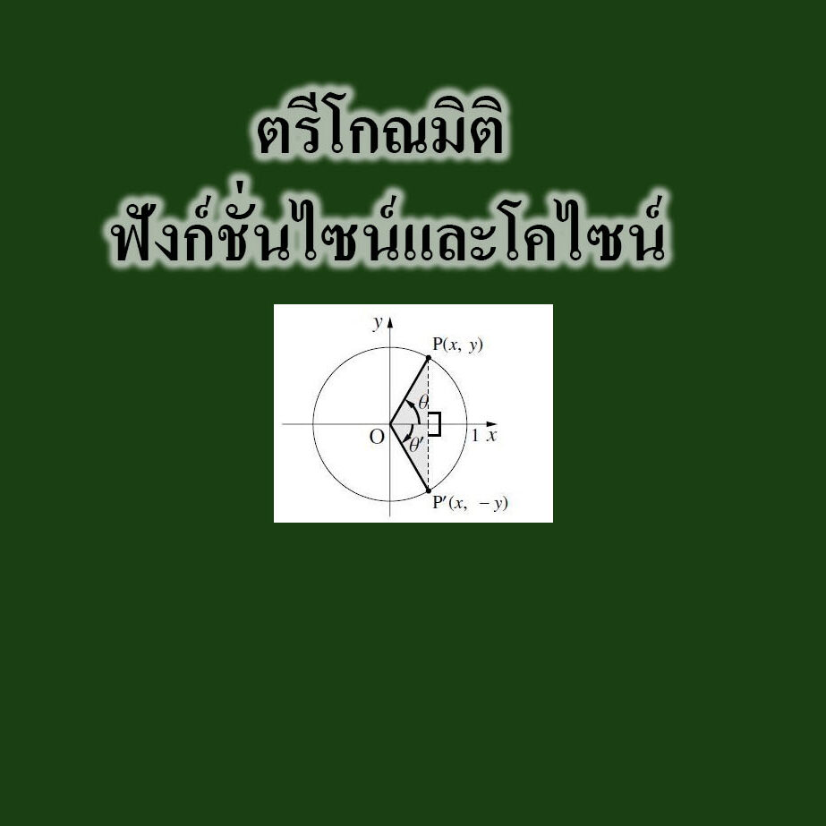 ฟังก์ชั่นไซน์และโคไซน์