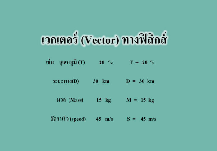 เวกเตอร์ (Vector)