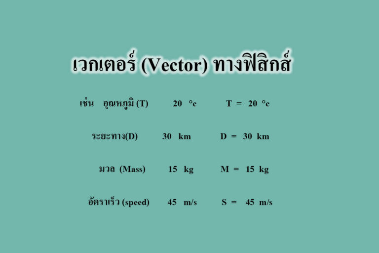 เวกเตอร์ (Vector) เวกเตอร์ (Vector)