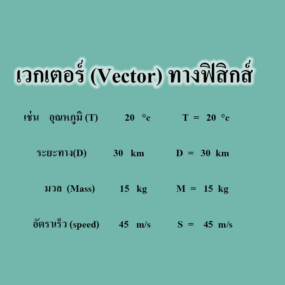 เวกเตอร์ (Vector)