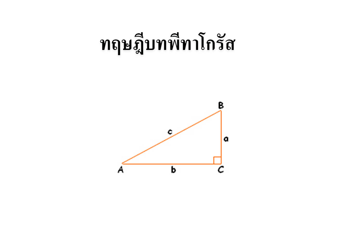 สมบัติของรูปสามเหลี่ยมมุมฉาก – Tuemaster เรียนออนไลน์ ม.ปลาย