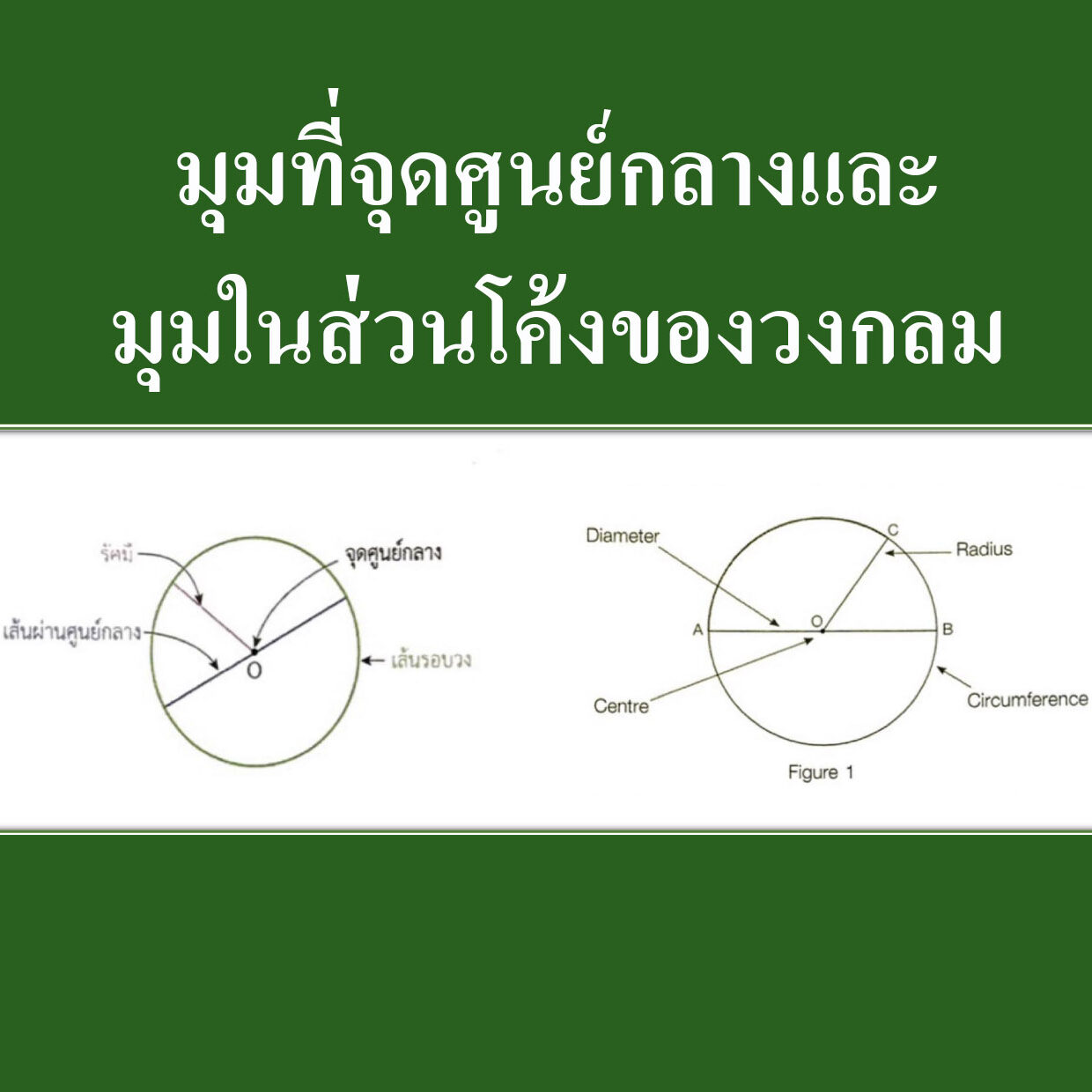 มุมที่จุดศูนย์กลางและมุมในส่วนโค้งของวงกลม