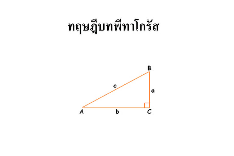 สมบัติของรูปสามเหลี่ยมมุมฉาก