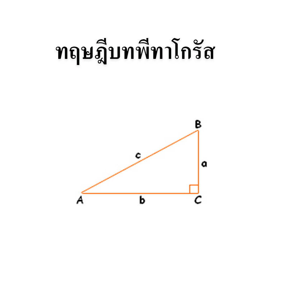 สมบัติของรูปสามเหลี่ยมมุมฉาก