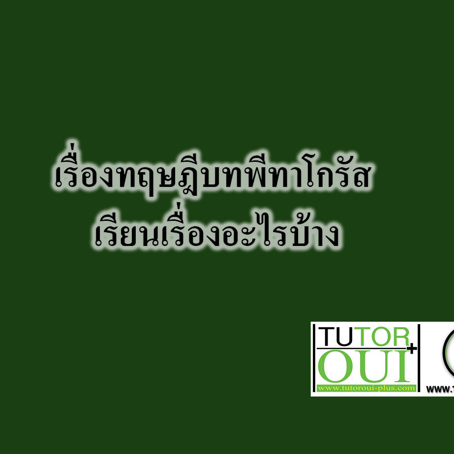 เรื่องทฤษฎีบทพีทาโกรัส เรียนเรื่องอะไรบ้าง