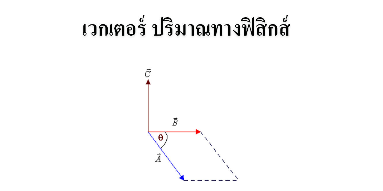 เวกเตอร์ ปริมาณทางฟิสิกส์