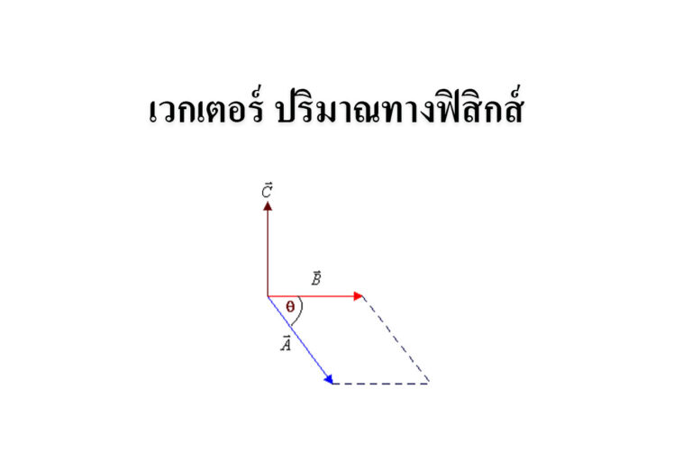 เวกเตอร์ ปริมาณทางฟิสิกส์