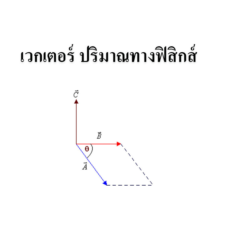 เวกเตอร์ ปริมาณทางฟิสิกส์