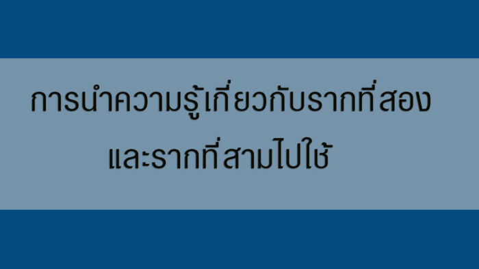 การนำความรู้เกี่ยวกับรากที่สองและรากที่สามไปใช้