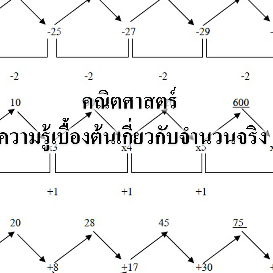 ความรู้เบื้องต้นเกี่ยวกับจำนวนจริง