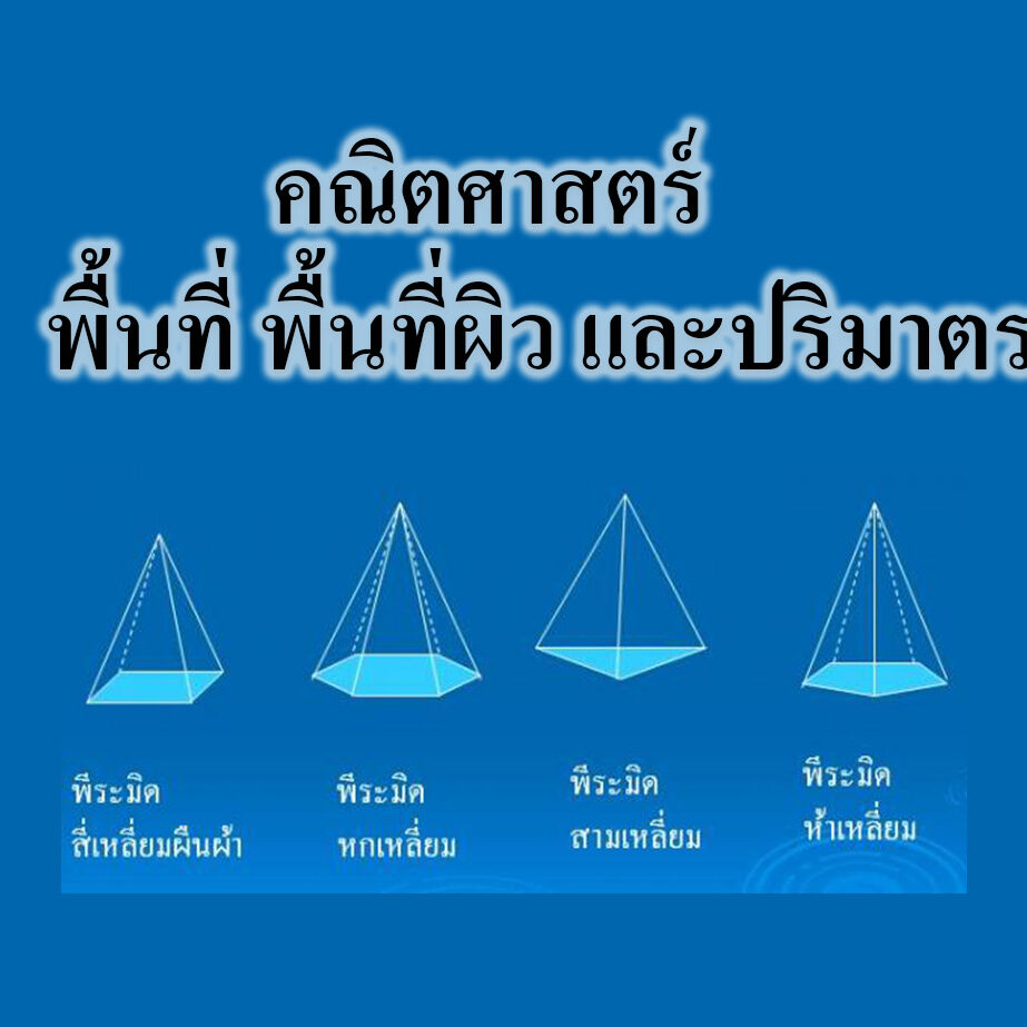 พื้นที่ พื้นที่ผิว และปริมาตร พื้นที่ พื้นที่ผิว และปริมาตร