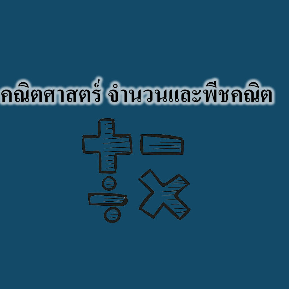 คณิตศาสตร์ จำนวนและพีชคณิต 