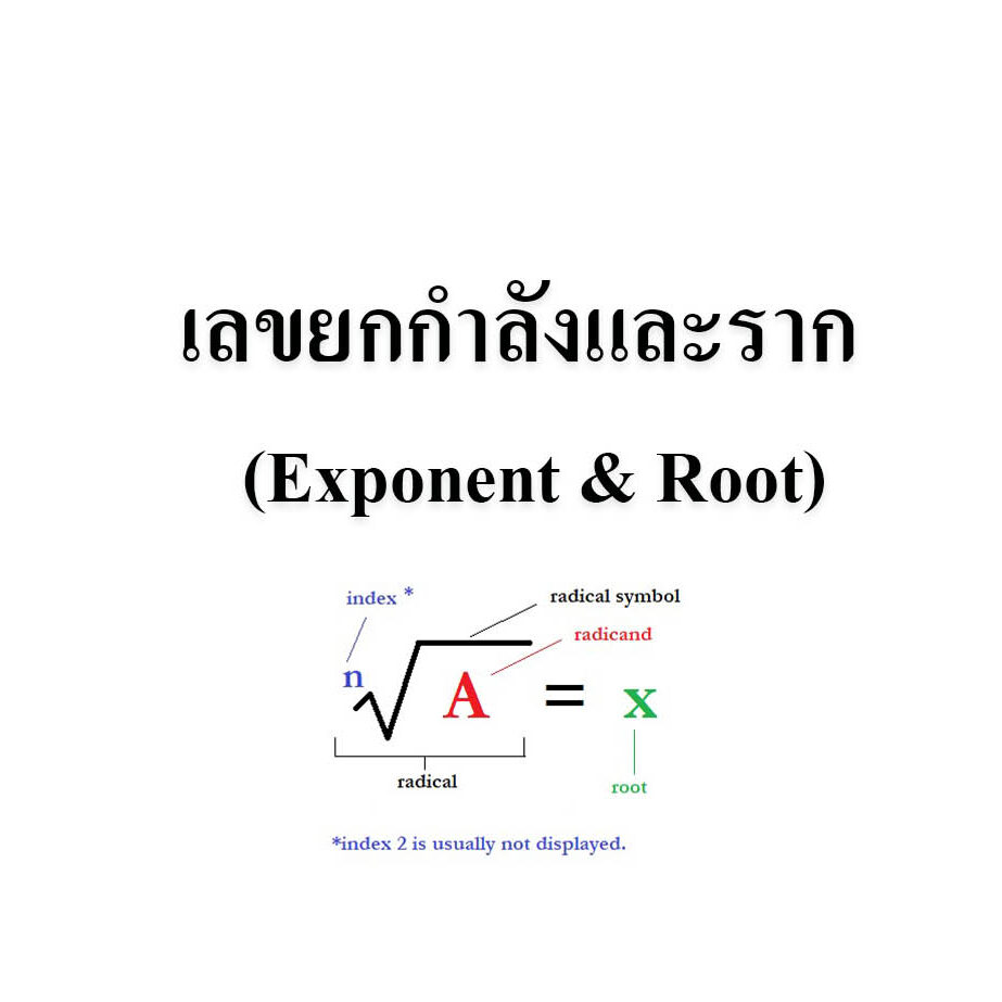 เลขยกกำลังและราก (Exponent & Root) เลขยกกำลังและราก (Exponent & Root)