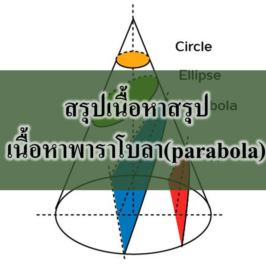 สรุปเนื้อหาสรุปเนื้อหาพาราโบลา(parabola) ม.3