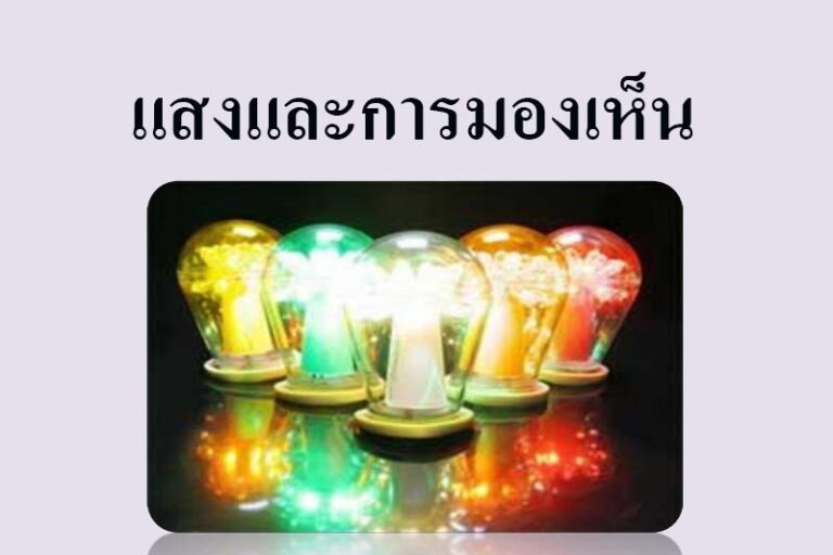 แสงและการมองเห็น แสงและการมองเห็น