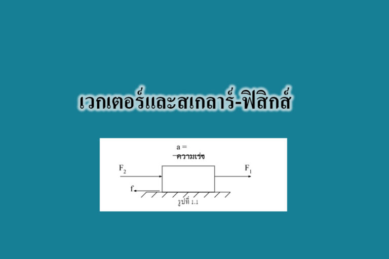 เวกเตอร์และสเกลาร์-ฟิสิกส์