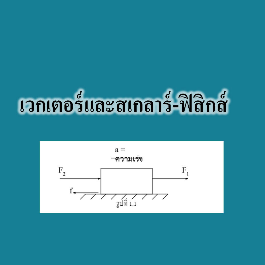 เวกเตอร์และสเกลาร์-ฟิสิกส์
