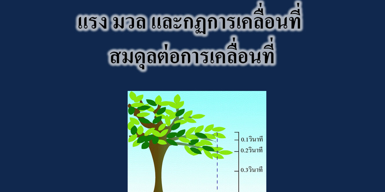 แรง มวล และกฏการเคลื่อนที่ สมดุลต่อการเคลื่อนที่