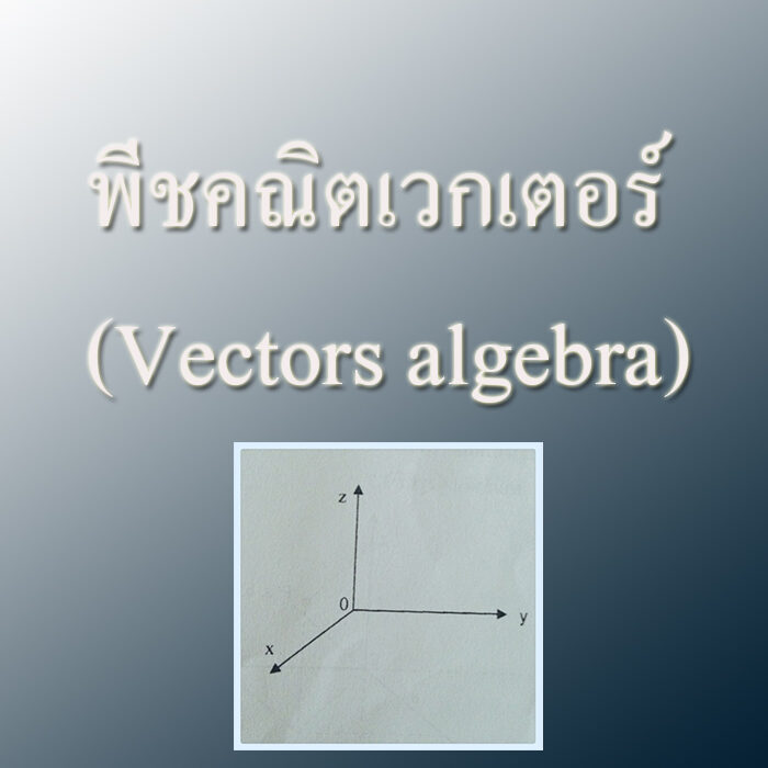 พีชคณิตเวกเตอร์ (Vectors algebra)