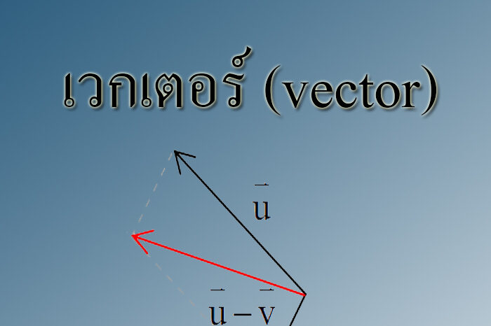 เวกเตอร์ (vector)