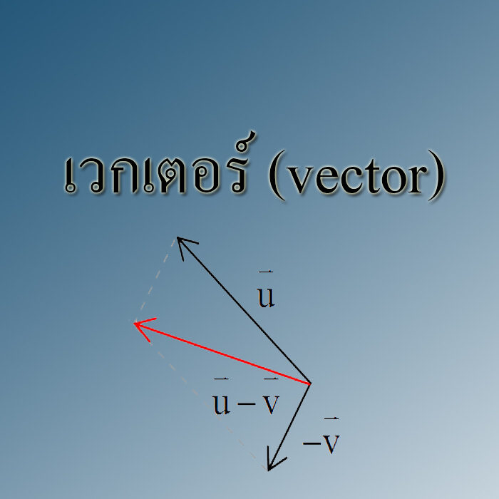 เวกเตอร์ (vector)