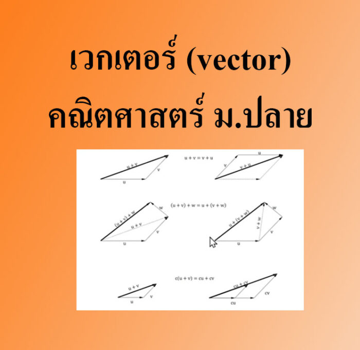 เวกเตอร์ (vector)-คณิตศาสตร์ 