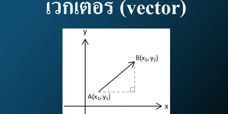 เวกเตอร์ (vector) – Tuemaster เรียนออนไลน์ ม.ปลาย