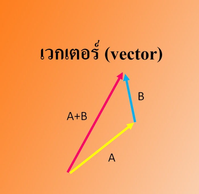 เวกเตอร์ (vector)