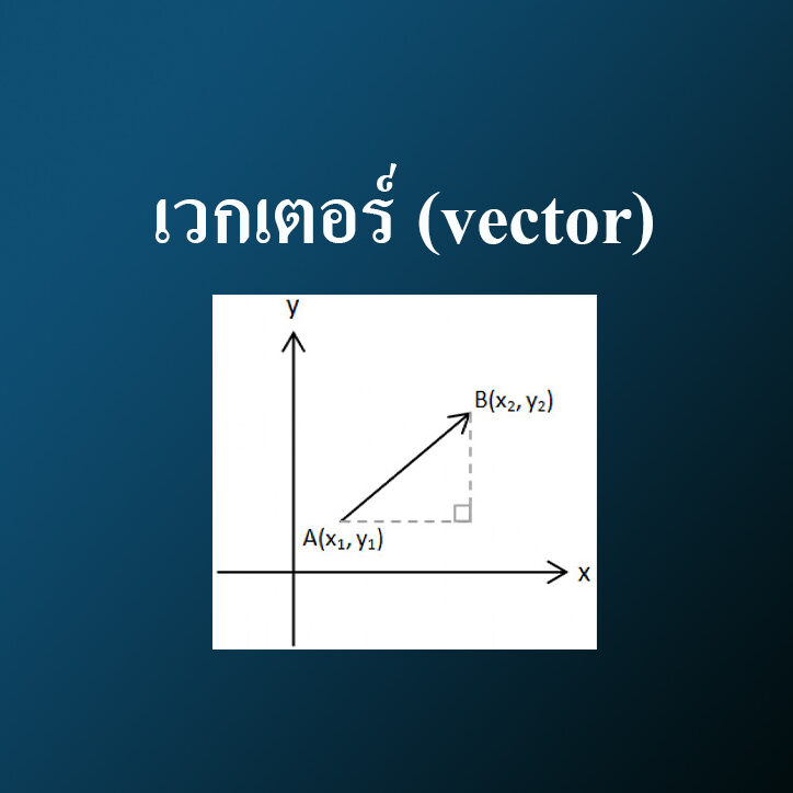 เวกเตอร์ (vector)