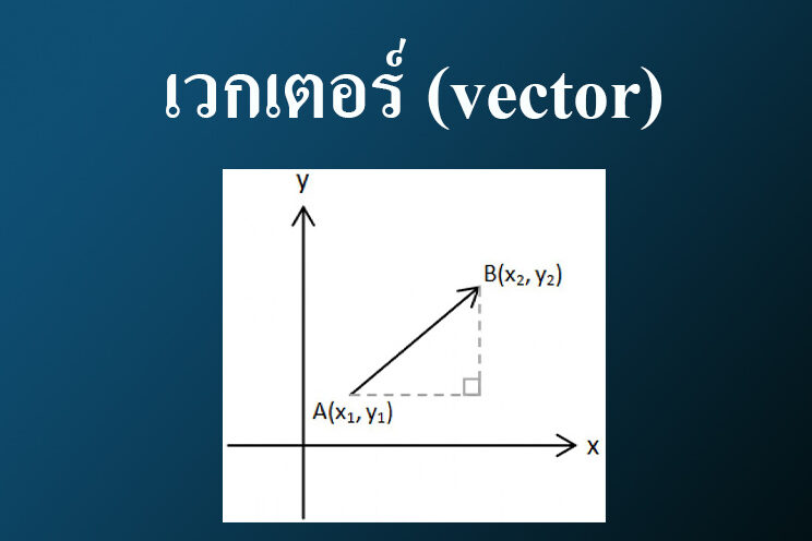 เวกเตอร์ (vector)