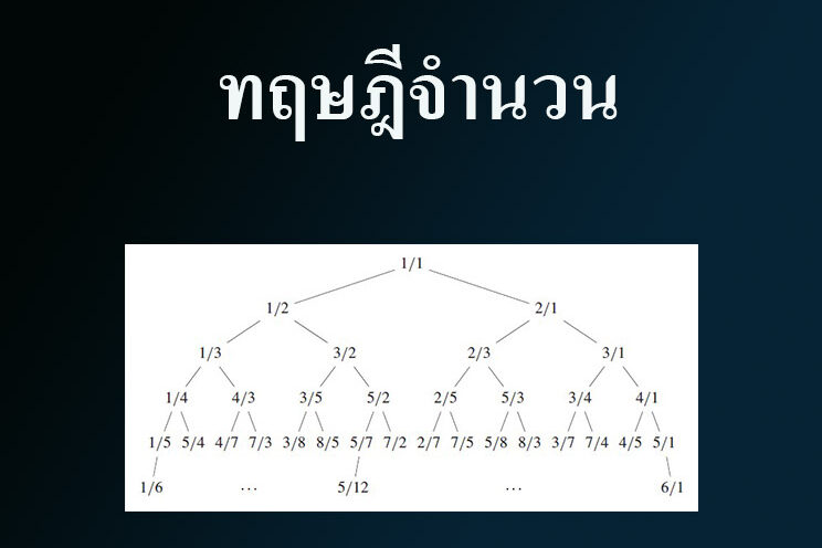 ทฤษฎีจำนวนพื้นฐาน