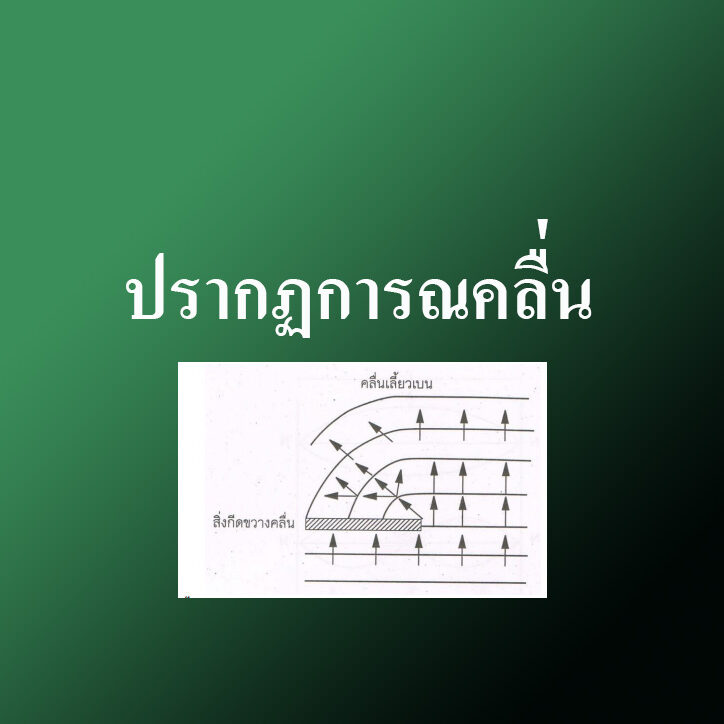 ฟิสิกส์
