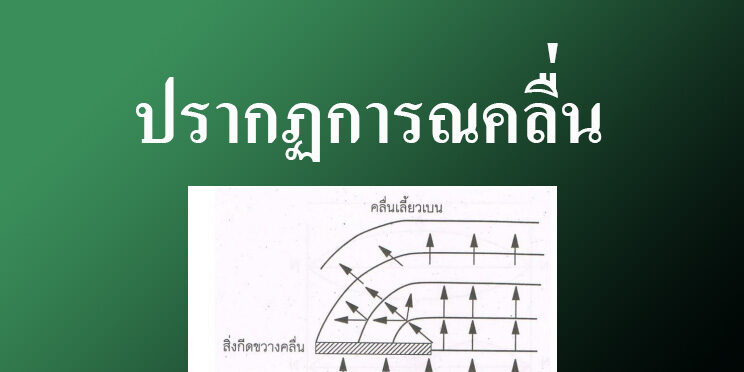 ฟิสิกส์ ฟิสิกส์