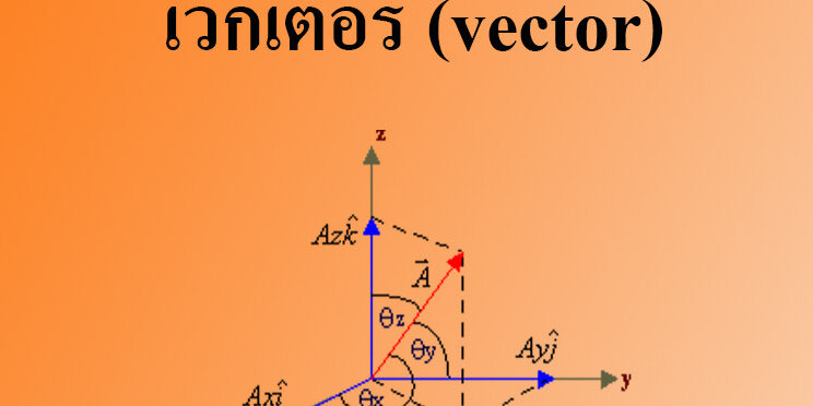 เวกเตอร์ (vector)