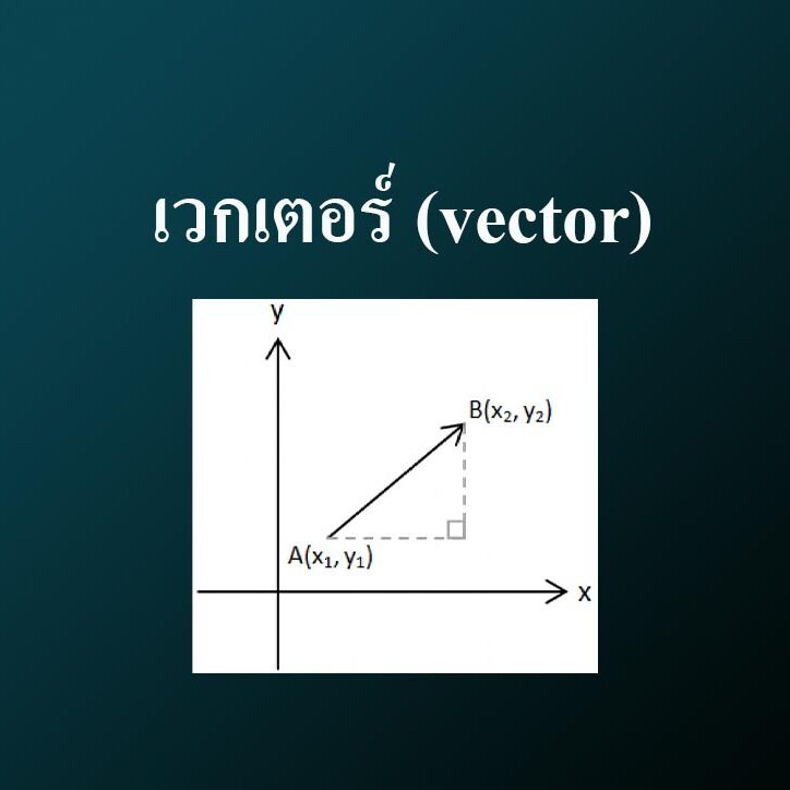 เวกเตอร์ (vector)