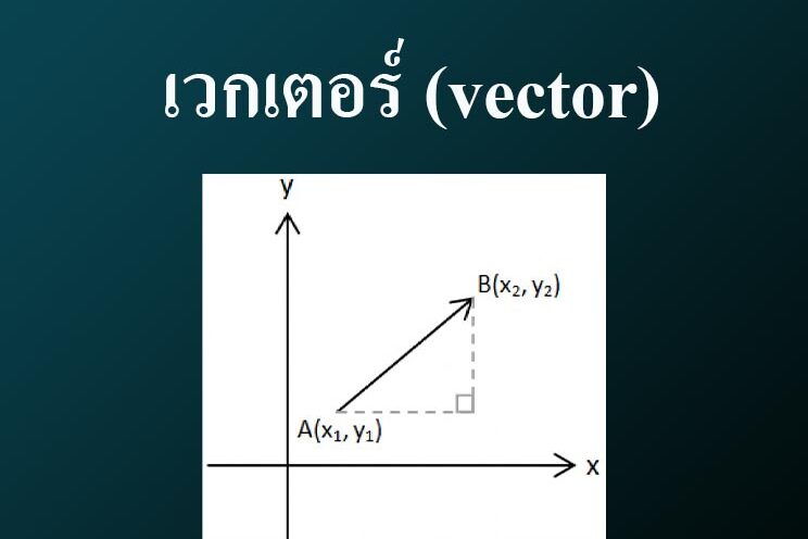 เวกเตอร์ (vector) เวกเตอร์ (vector)