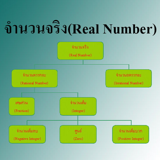 จำนวนจริง(Real Number) copy จำนวนจริง(Real Number)