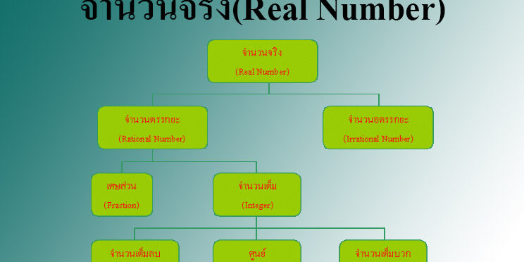 จำนวนจริง(Real Number)
