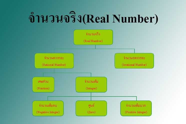 จำนวนจริง(Real Number) copy จำนวนจริง(Real Number)